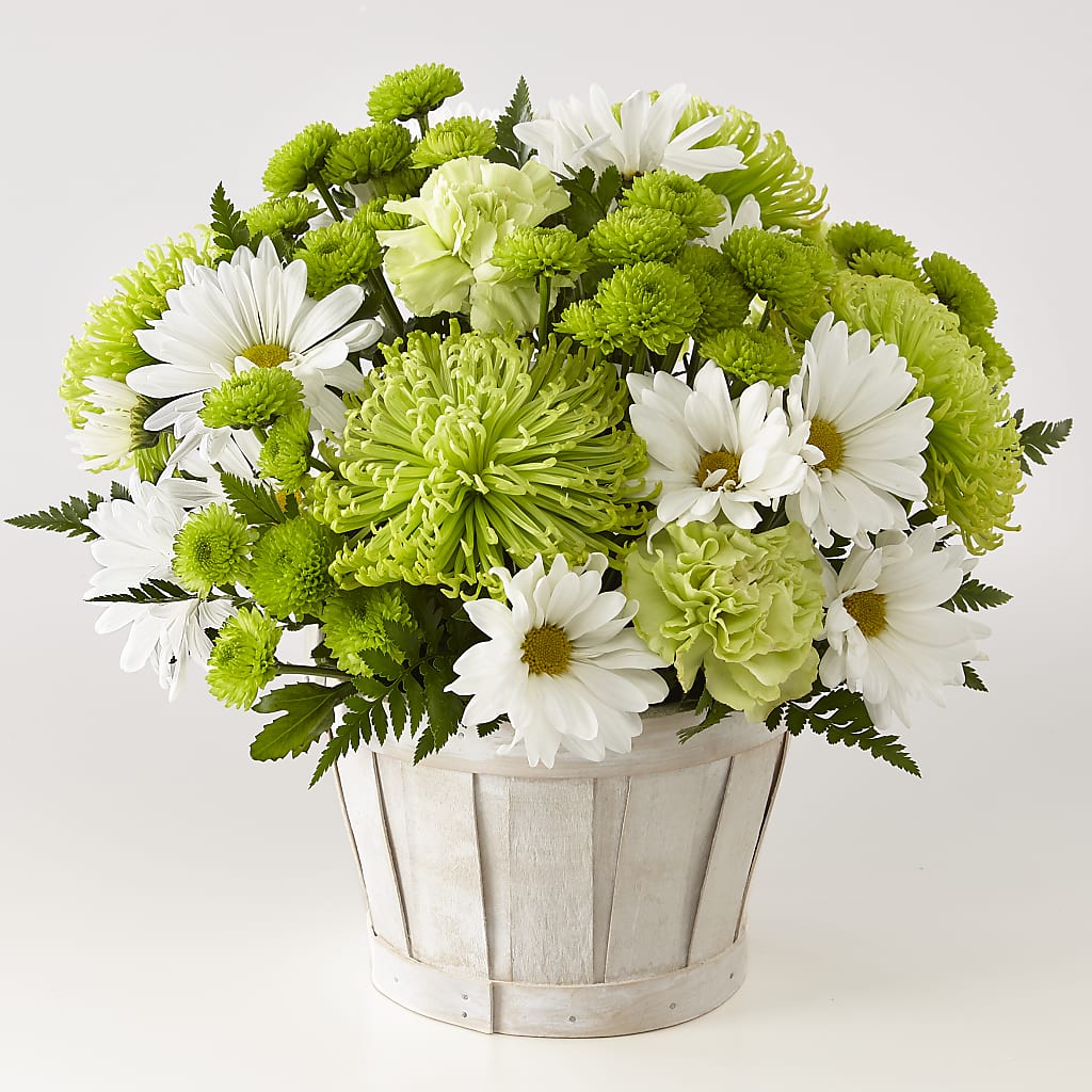 Lucky Charm Basket (Standard) – Emica Floral Designs, Saint James City FL