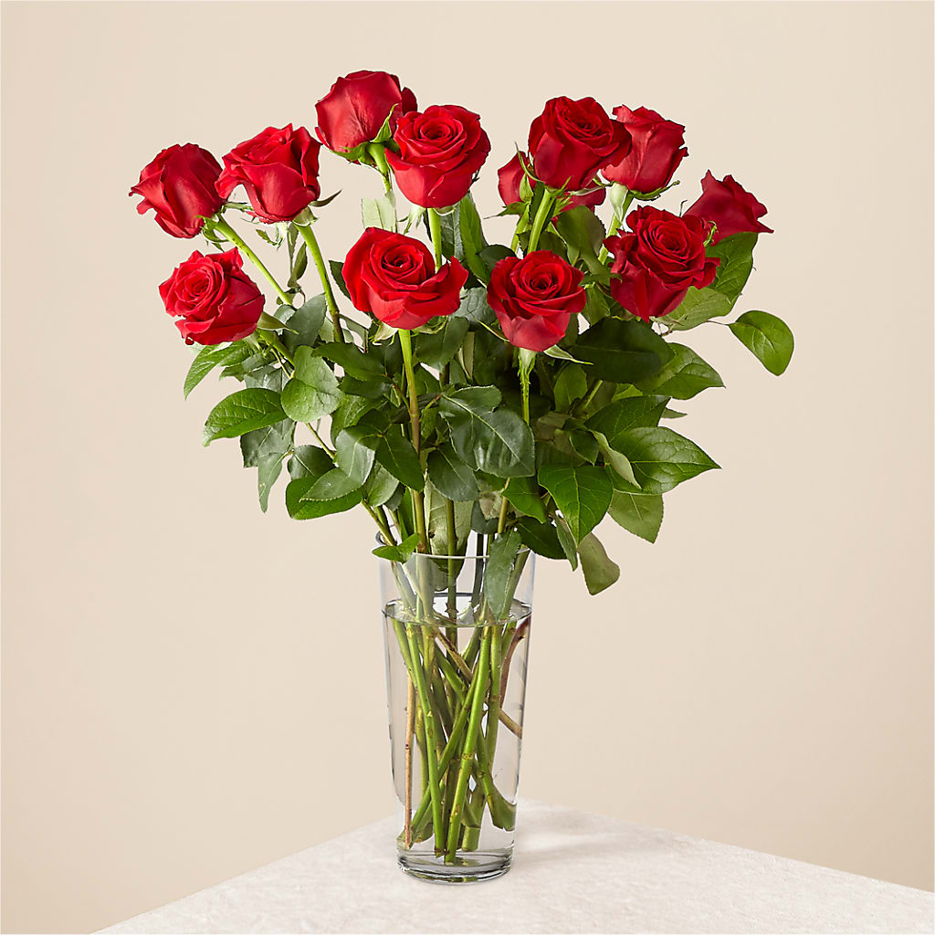 Long Stem Red Rose Bouquet – Emica Floral Designs, Saint James City FL