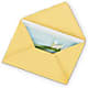 Greeting Card – Emica Floral Designs, Saint James City FL