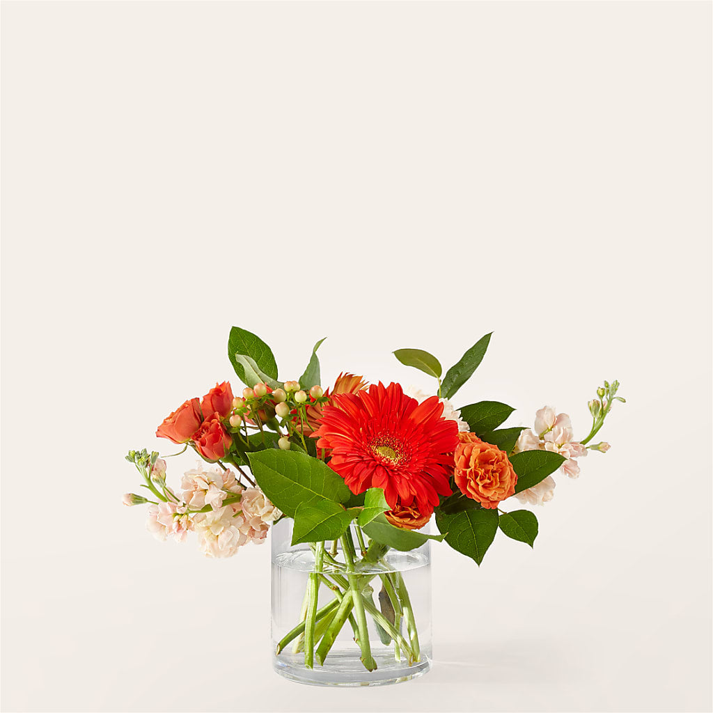 Paloma Please Bouquet – Emica Floral Designs, Saint James City FL