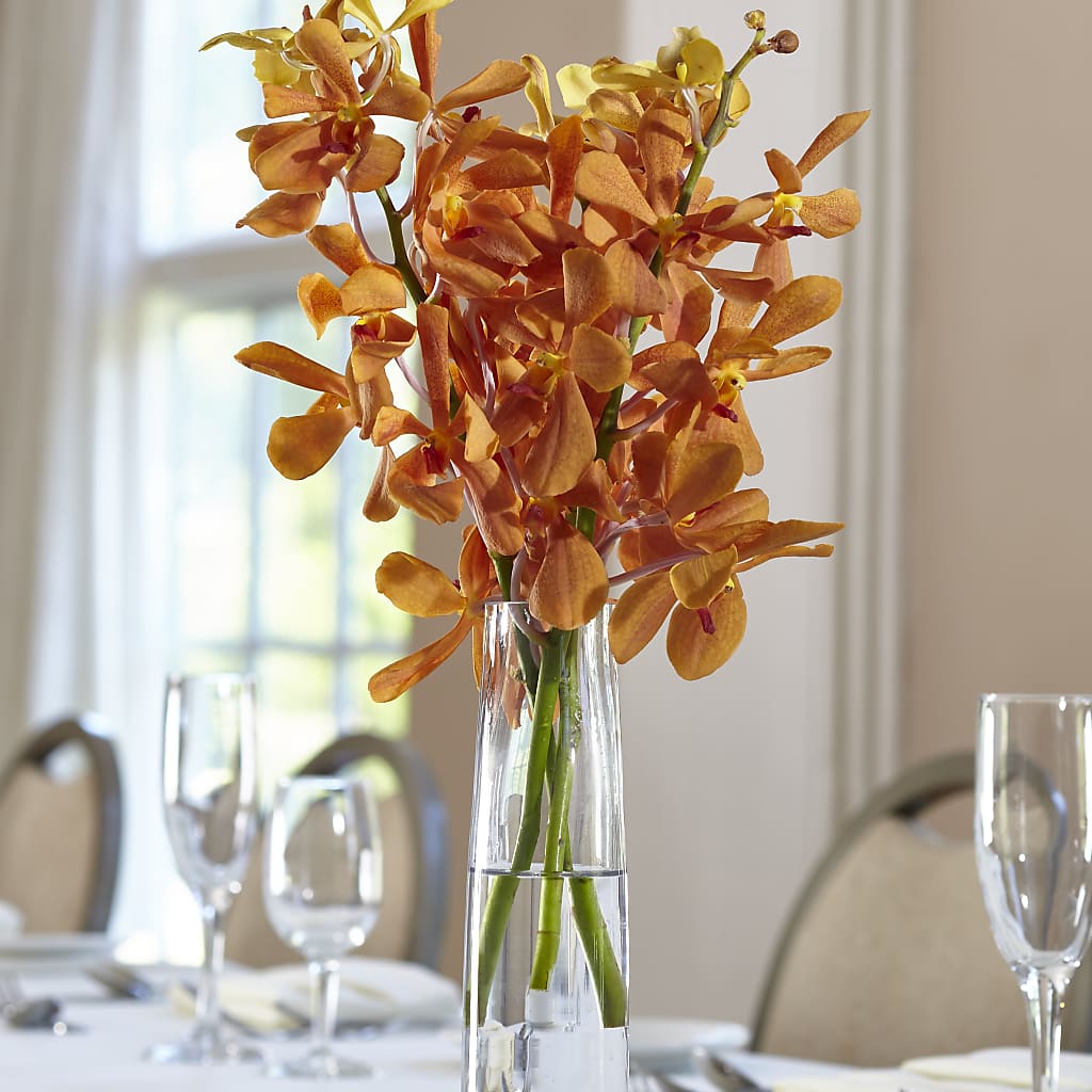 Orange Mokara Bud Vase – Emica Floral Designs, Saint James City FL