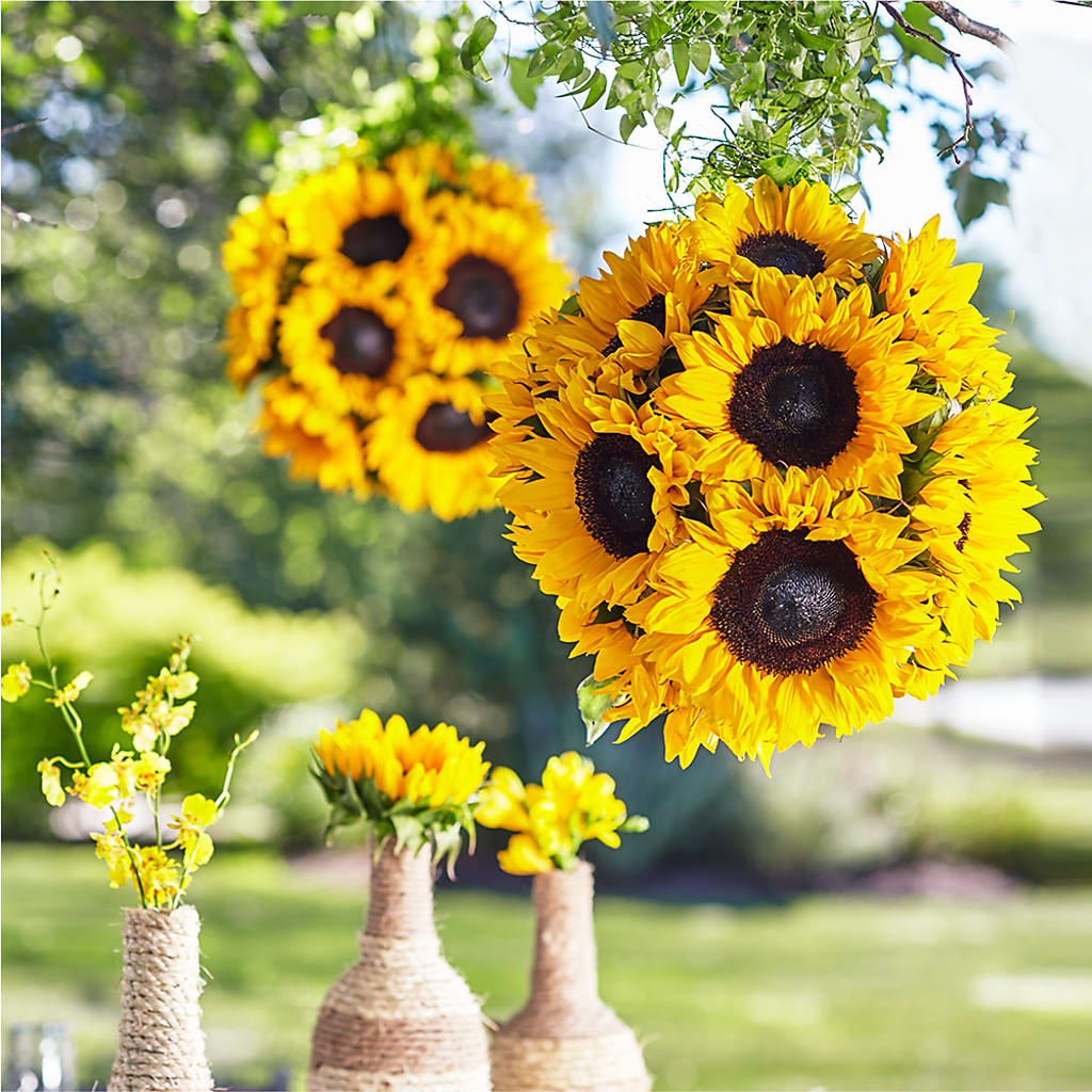 Sublime Garden Hanging Arrangement – Emica Floral Designs, Saint James City FL