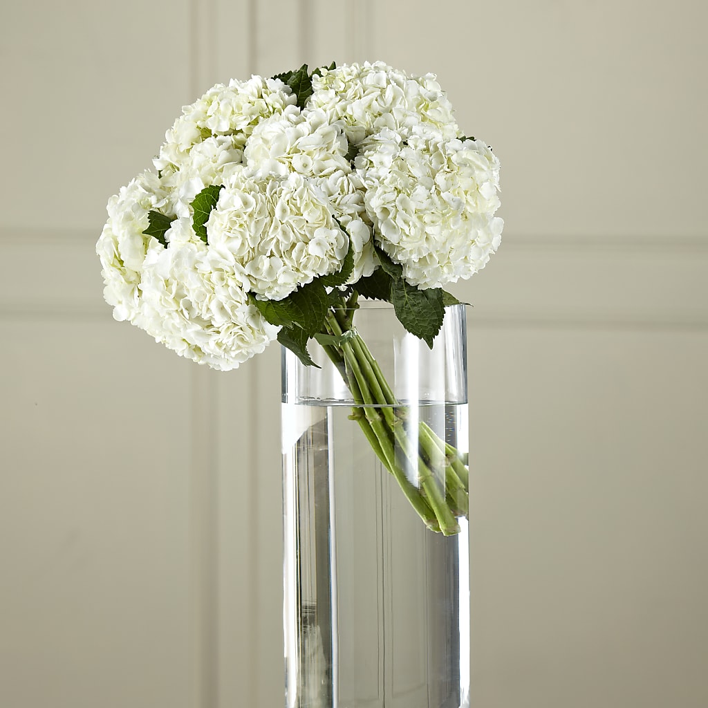 White Hydrangea Hand-Tied Bouquet – Emica Floral Designs, Saint James City FL