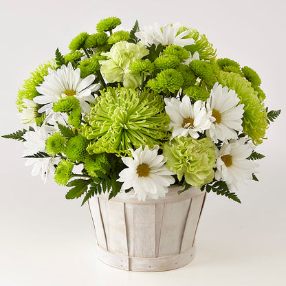 Lucky Charm Basket (Standard) –  Emica Floral Designs, Saint James City FL