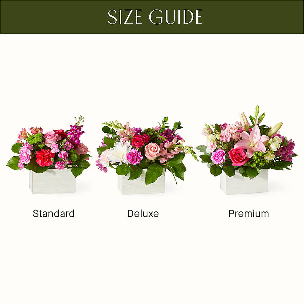Sweetberry Box – A Florist Original –  Emica Floral Designs, Saint James City FL