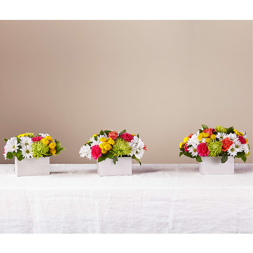 Sorbet Bouquet –  Emica Floral Designs, Saint James City FL