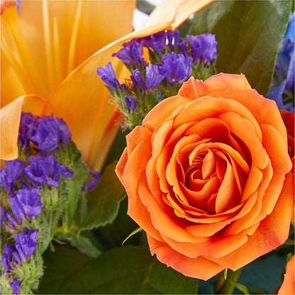 Radiant Citrus Box Bouquet –  Emica Floral Designs, Saint James City FL