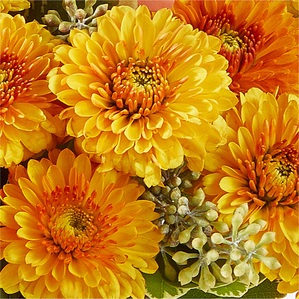 Peachy Pumpkin –  Emica Floral Designs, Saint James City FL