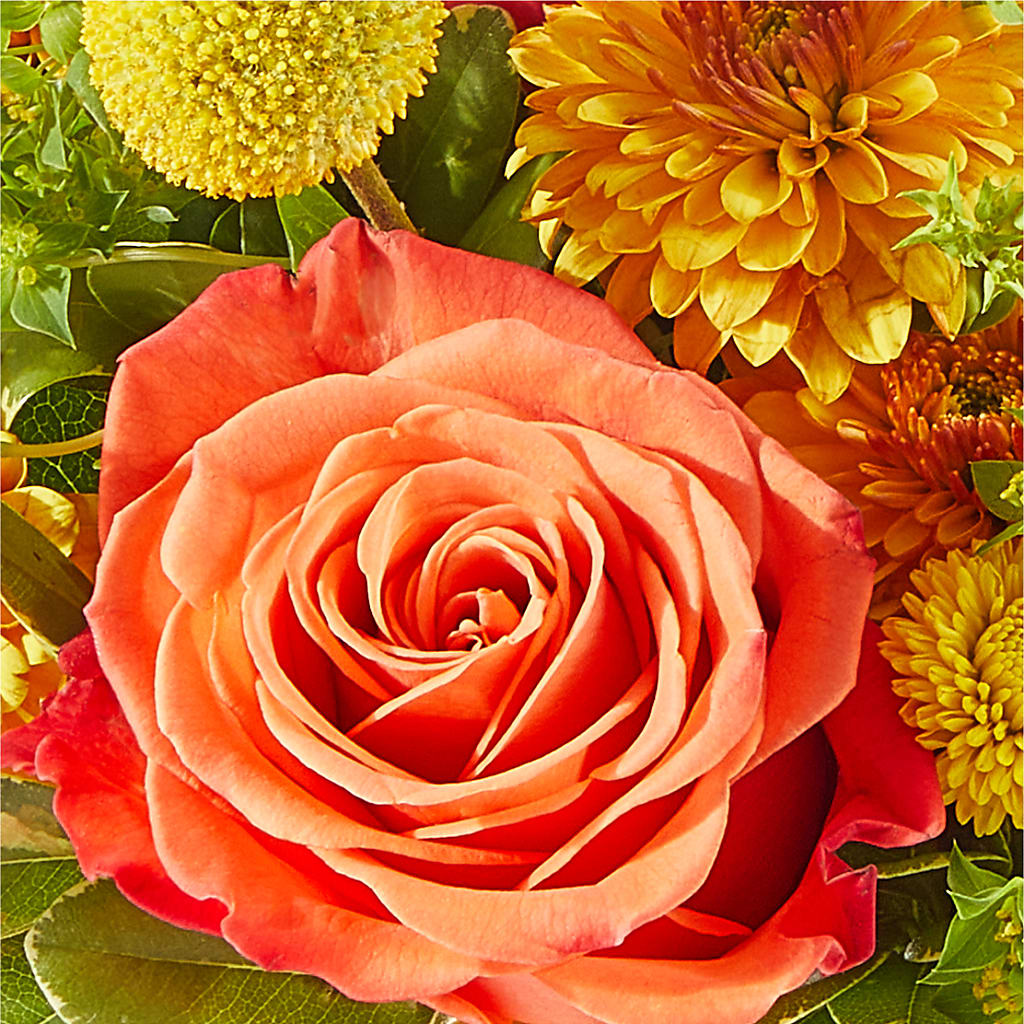 Gourdgeous Pumpkin –  Emica Floral Designs, Saint James City FL