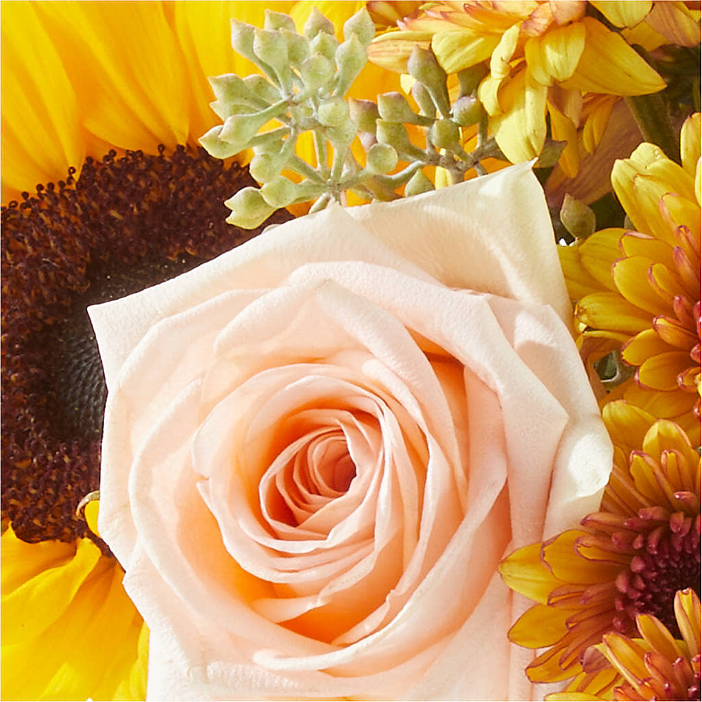 Pumpkin to Talk About Bouquet –  Emica Floral Designs, Saint James City FL