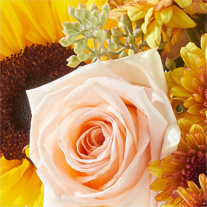 Pumpkin to Talk About Bouquet –  Emica Floral Designs, Saint James City FL