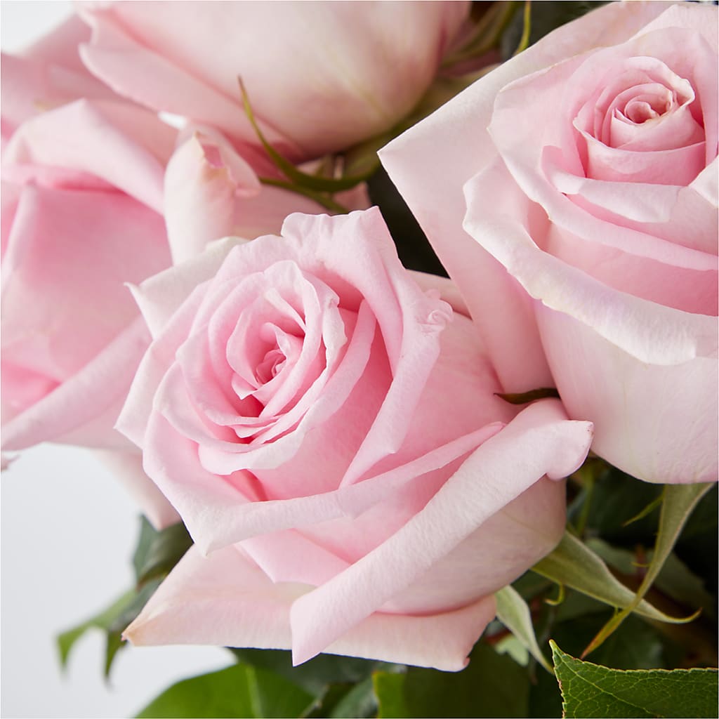 Picture Perfect Pink Rose Bouquet –  Emica Floral Designs, Saint James City FL