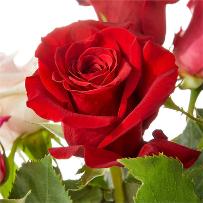 Love Notes Rose Bouquet –  Emica Floral Designs, Saint James City FL