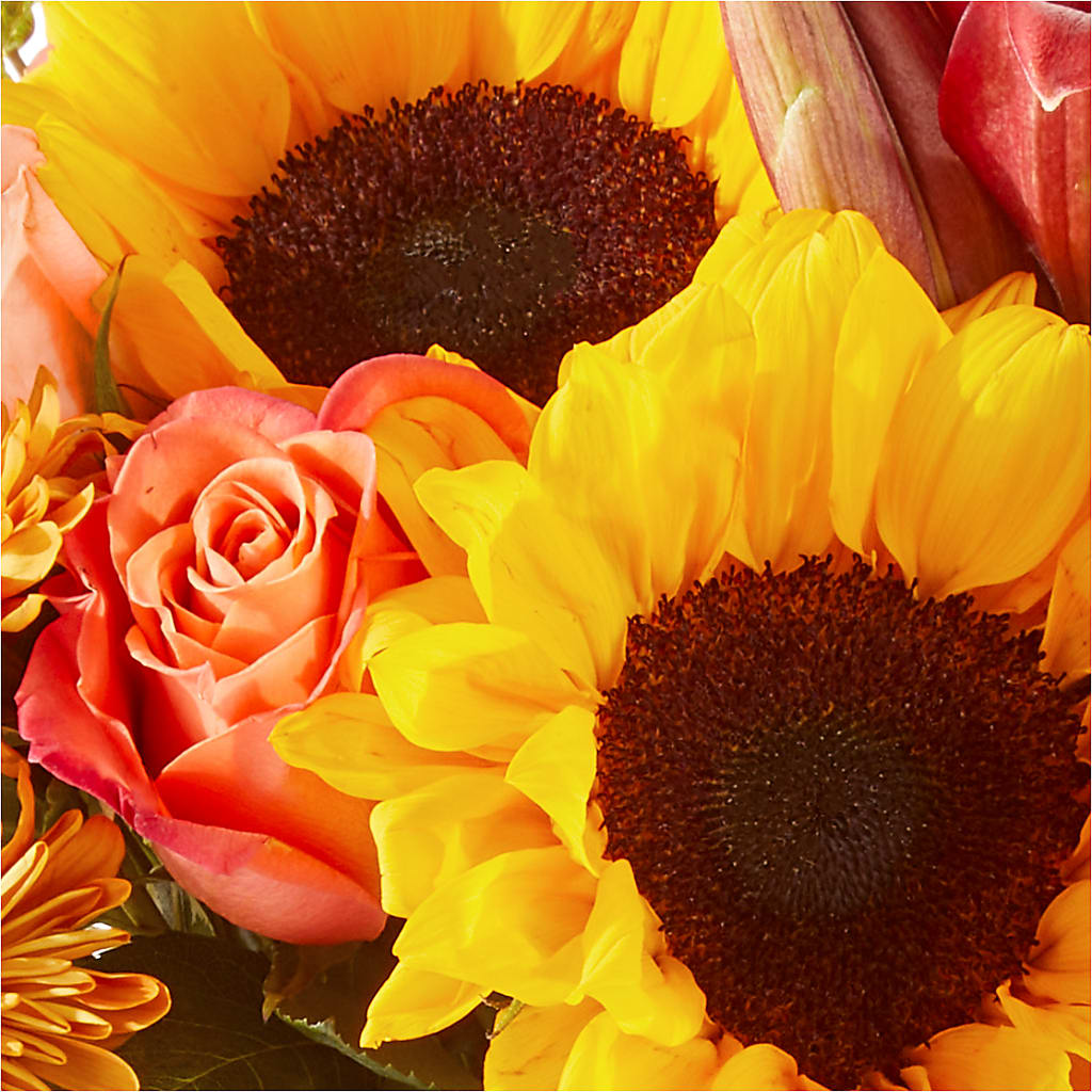 Acorn Lane Bouquet –  Emica Floral Designs, Saint James City FL