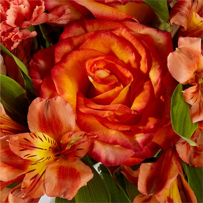 Apricot Glow Bouquet –  Emica Floral Designs, Saint James City FL