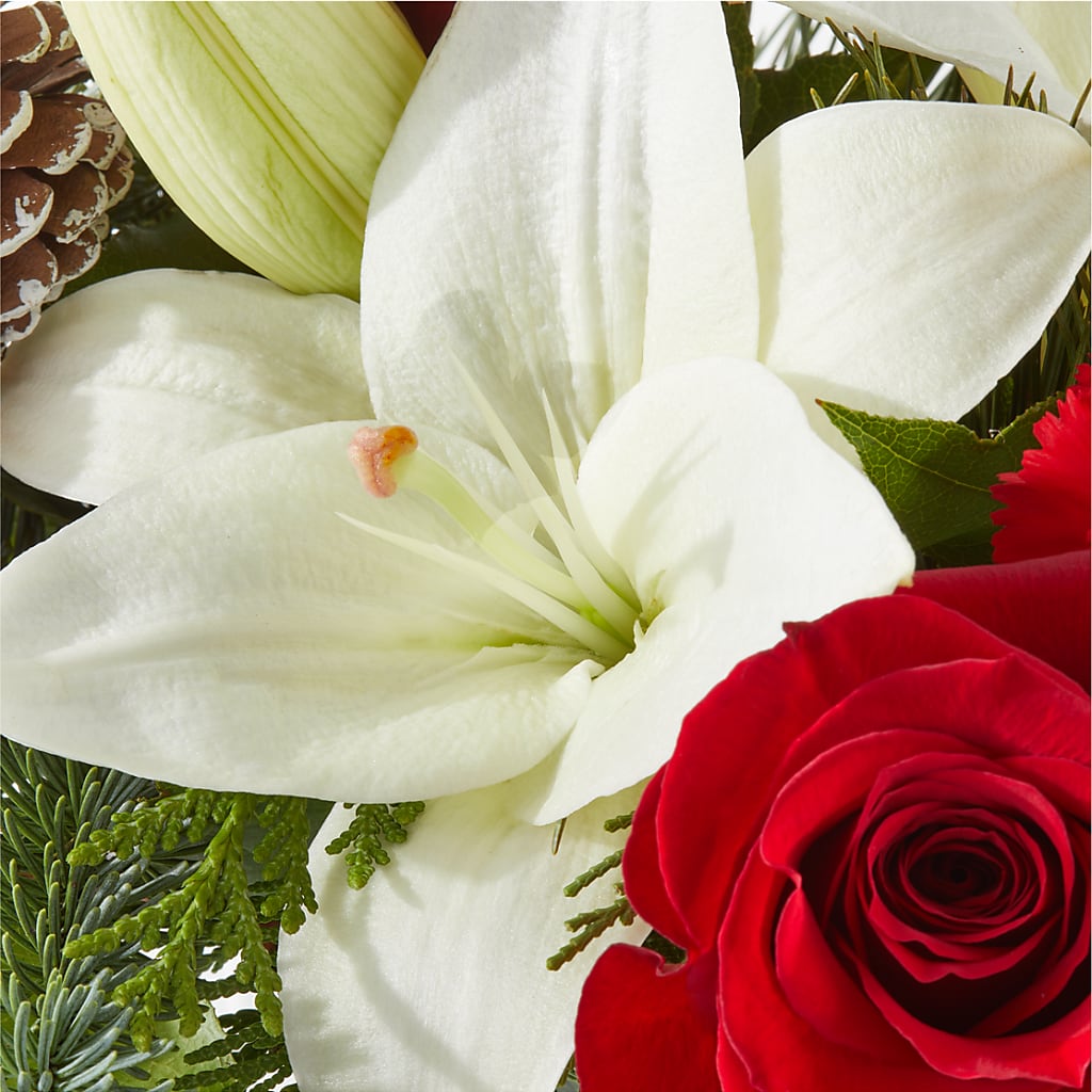 Oh So Jolly Bouquet –  Emica Floral Designs, Saint James City FL