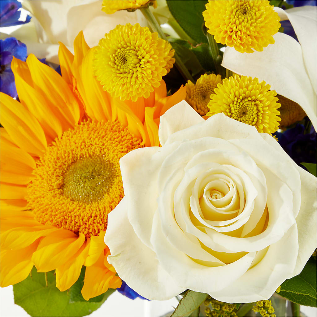 Stargazing Bouquet –  Emica Floral Designs, Saint James City FL