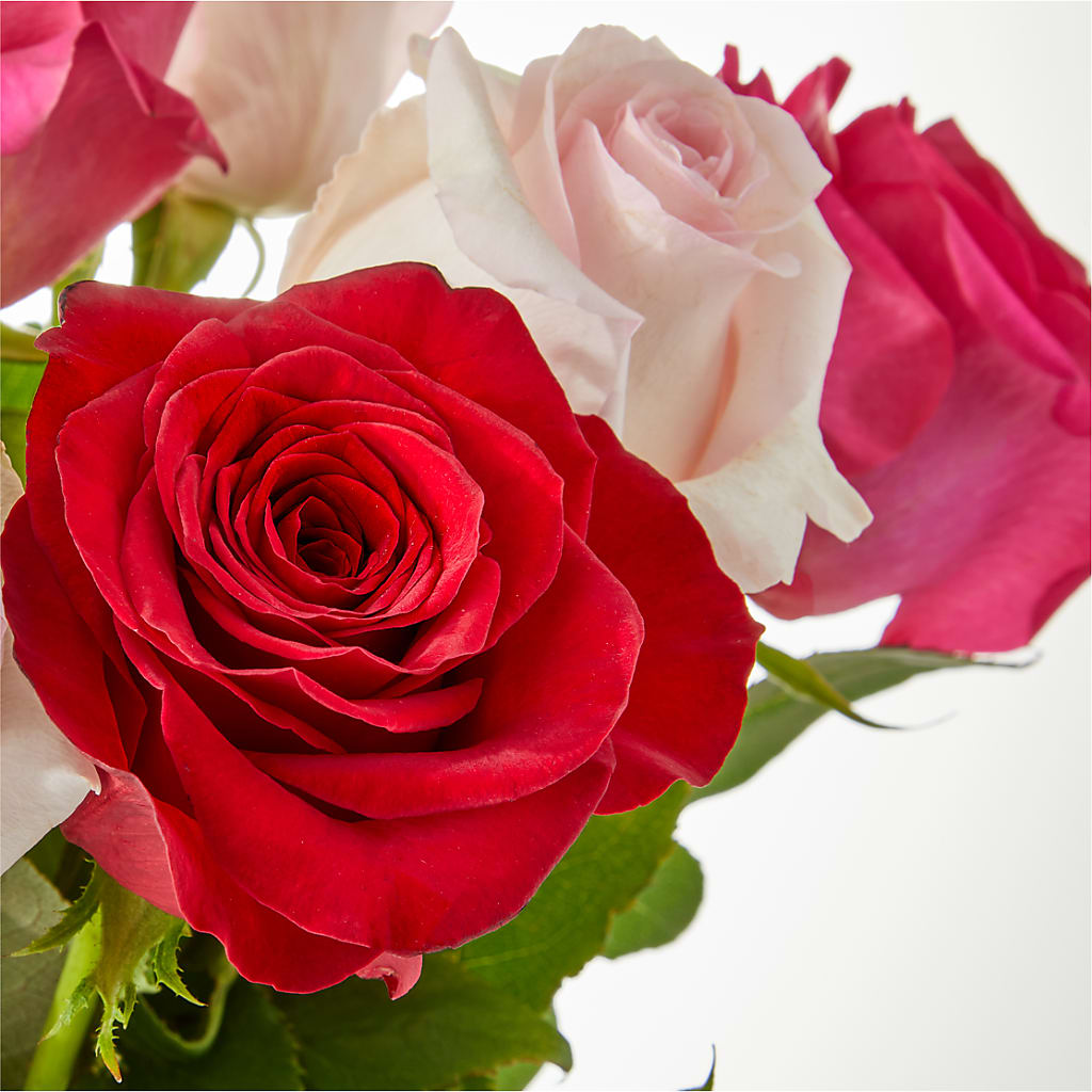 Charming Rose Bouquet –  Emica Floral Designs, Saint James City FL