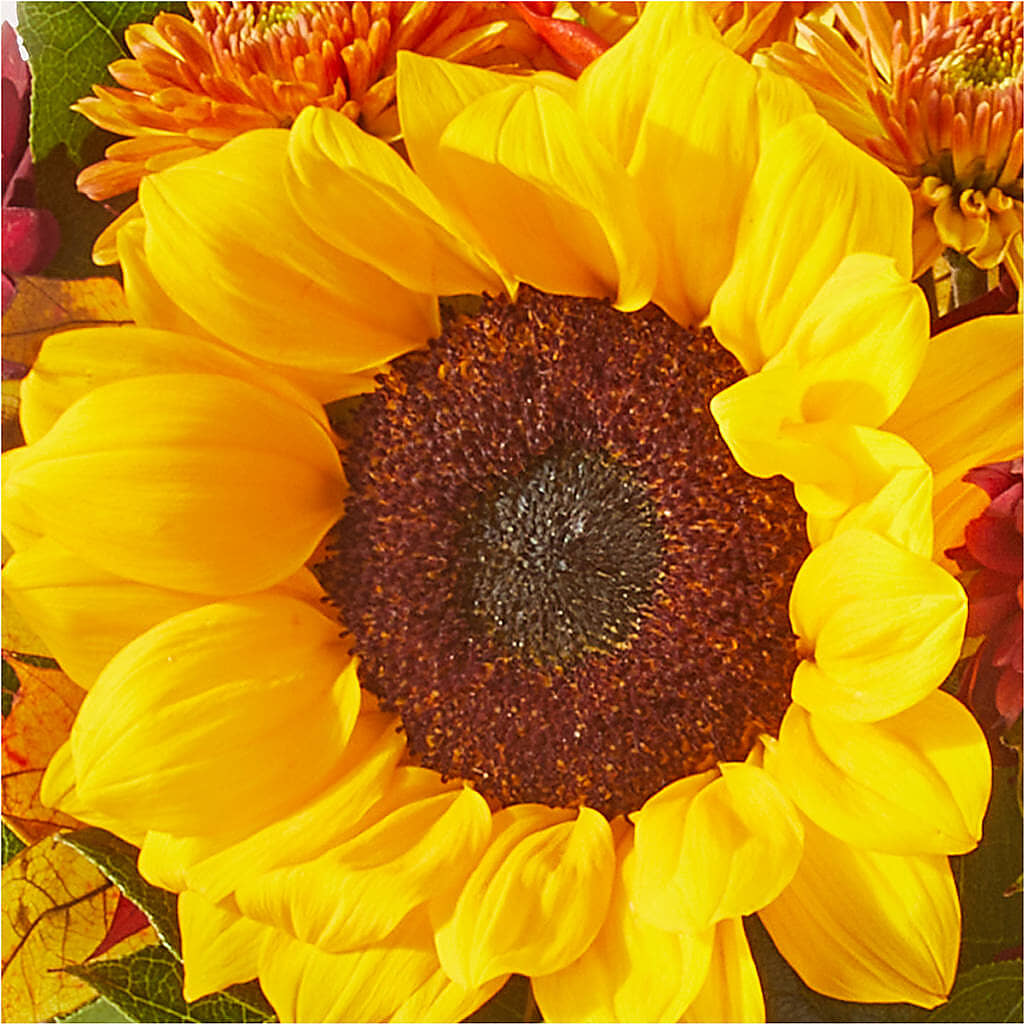 Sunny Side Bouquet –  Emica Floral Designs, Saint James City FL