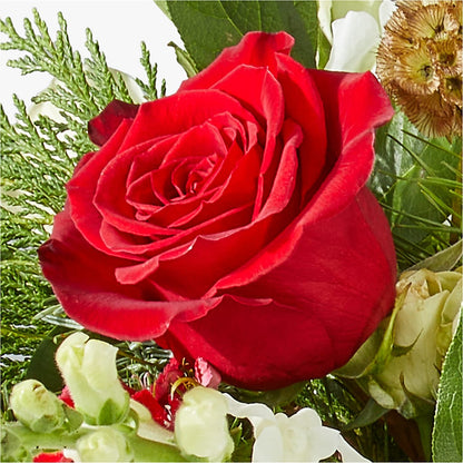 Deck the Halls Bouquet –  Emica Floral Designs, Saint James City FL