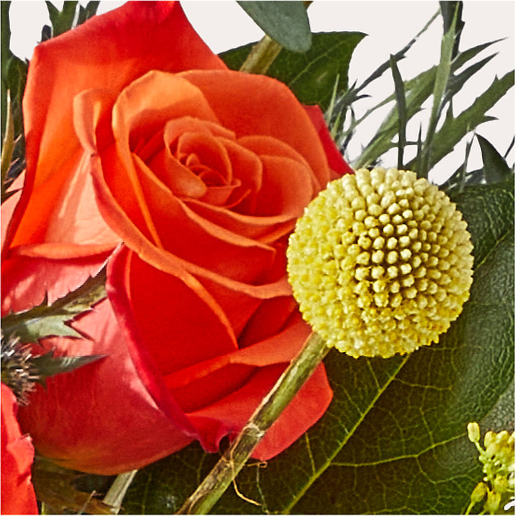 Disco Bouquet –  Emica Floral Designs, Saint James City FL
