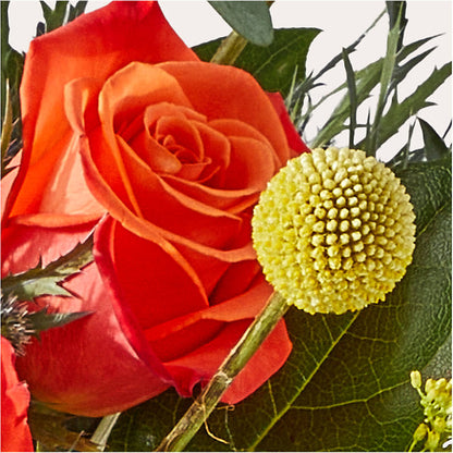 Disco Bouquet –  Emica Floral Designs, Saint James City FL