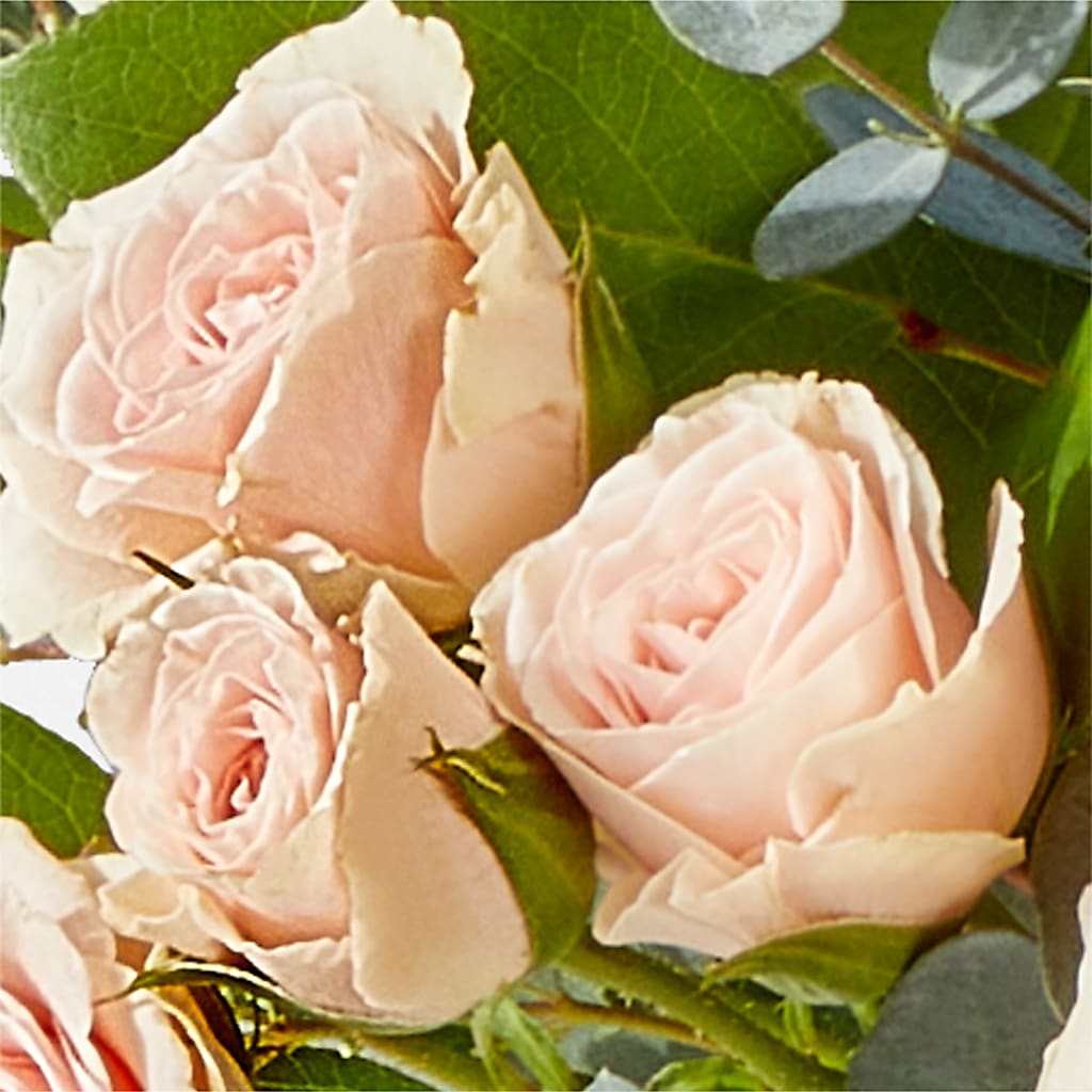 Inspired Bouquet –  Emica Floral Designs, Saint James City FL