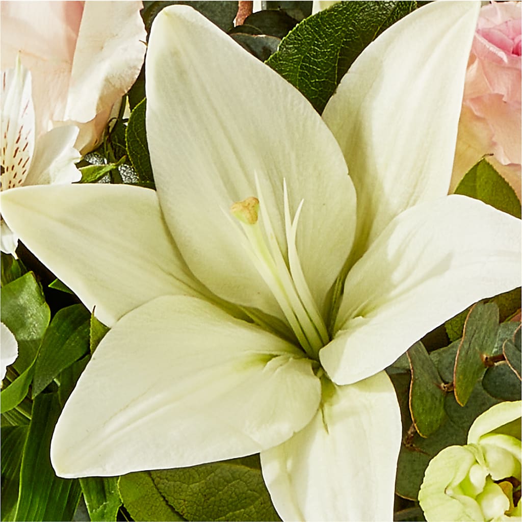 Ballet Slippers Bouquet –  Emica Floral Designs, Saint James City FL