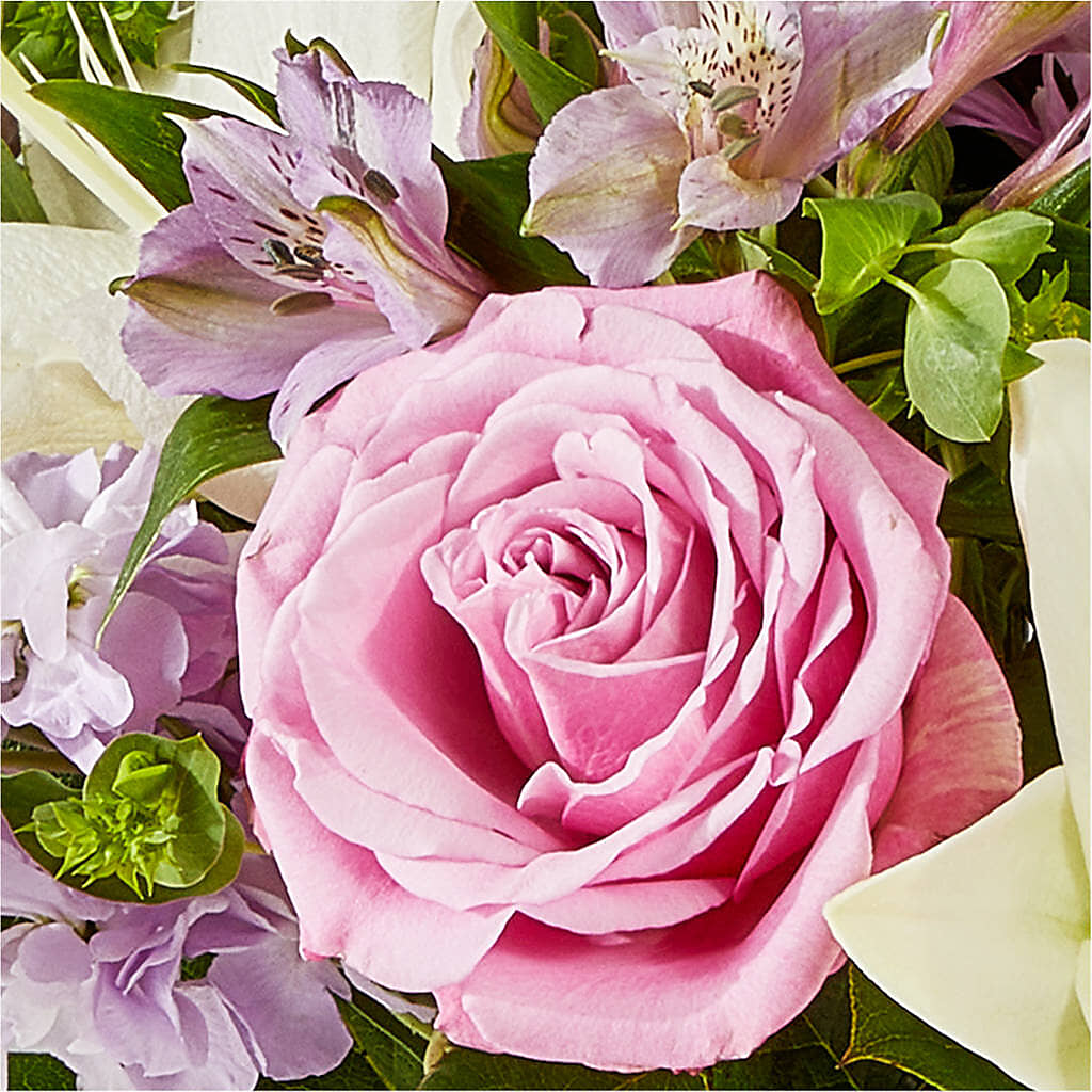 Daydreamer Bouquet –  Emica Floral Designs, Saint James City FL