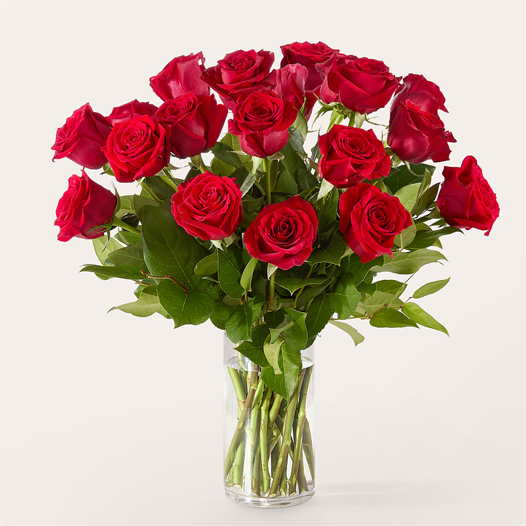 The One Red Rose Bouquet –  Emica Floral Designs, Saint James City FL