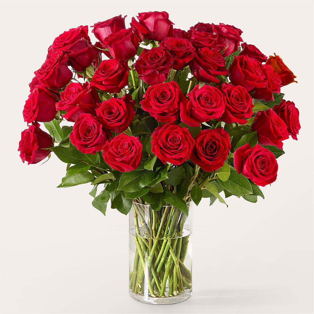 The One Red Rose Bouquet –  Emica Floral Designs, Saint James City FL