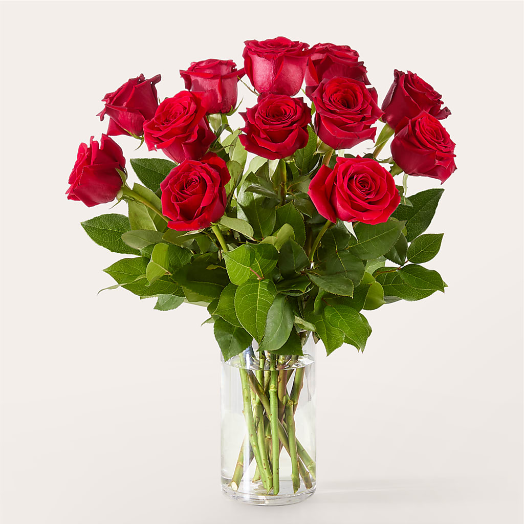 The One Red Rose Bouquet –  Emica Floral Designs, Saint James City FL