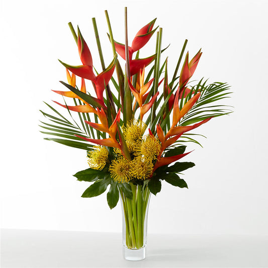 The Drama –  Emica Floral Designs, Saint James City FL