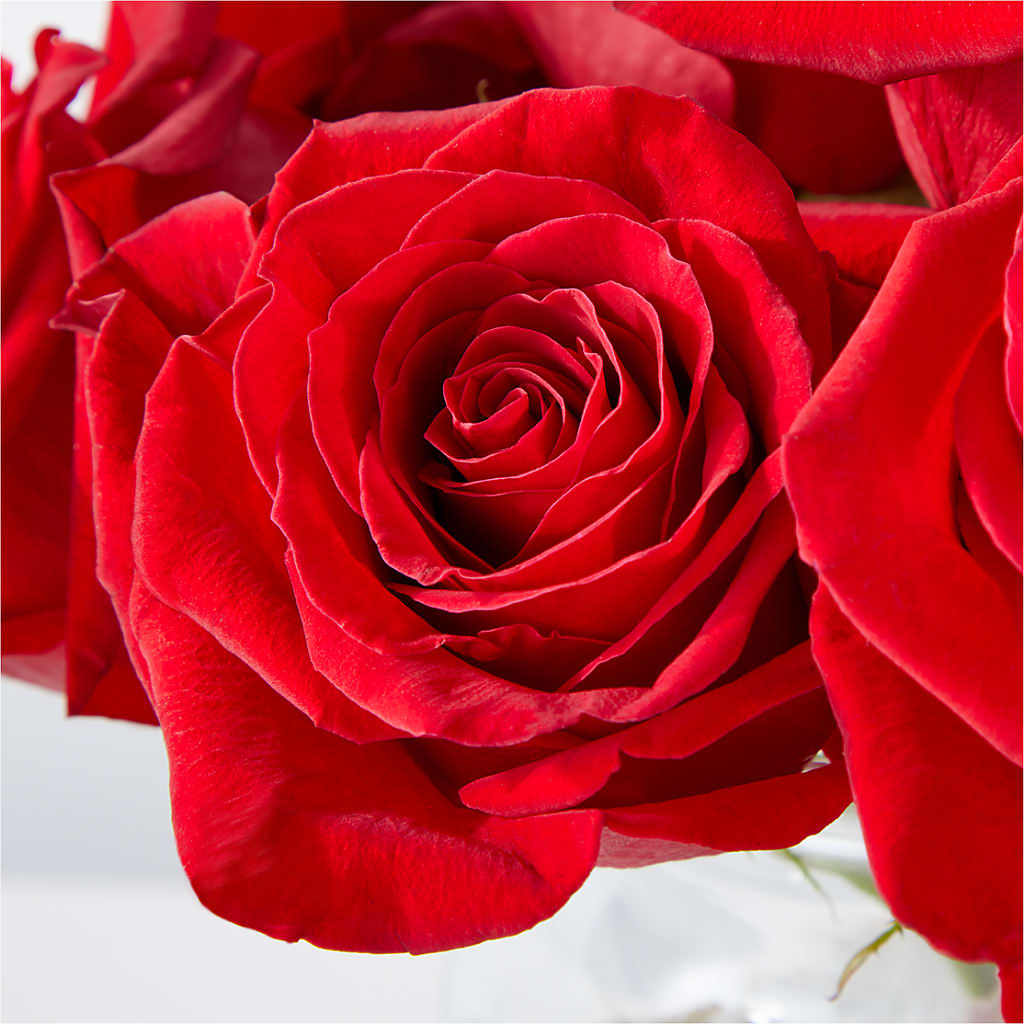 Cupid's Embrace Red Rose Bouquet –  Emica Floral Designs, Saint James City FL