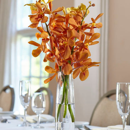 Orange Mokara Bud Vase –  Emica Floral Designs, Saint James City FL
