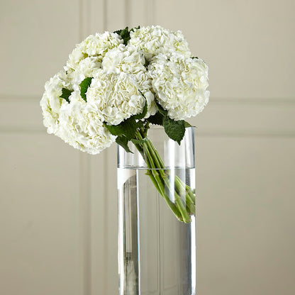 White Hydrangea Hand-Tied Bouquet –  Emica Floral Designs, Saint James City FL